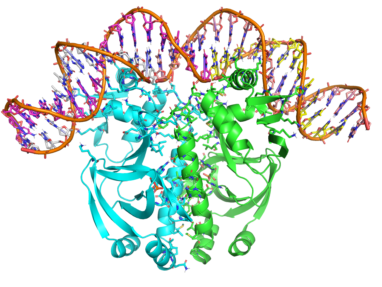 protein interface